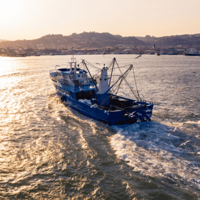 Pêche et aquaculture responsable
