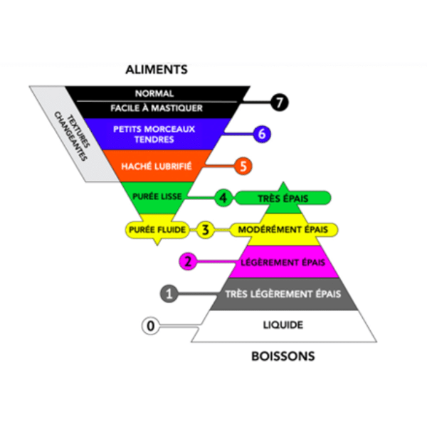 pyramide classification iddsi